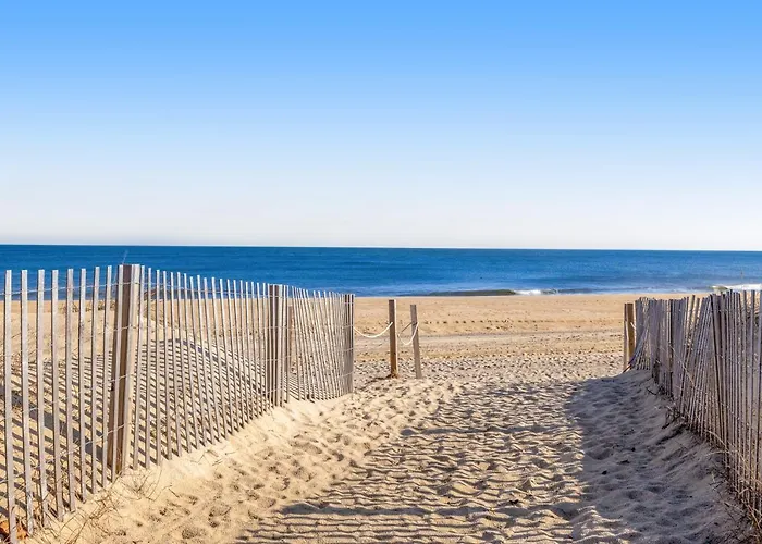 Salty Sands